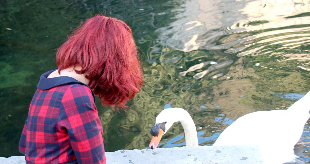 Cygne-nimes-dancing-days