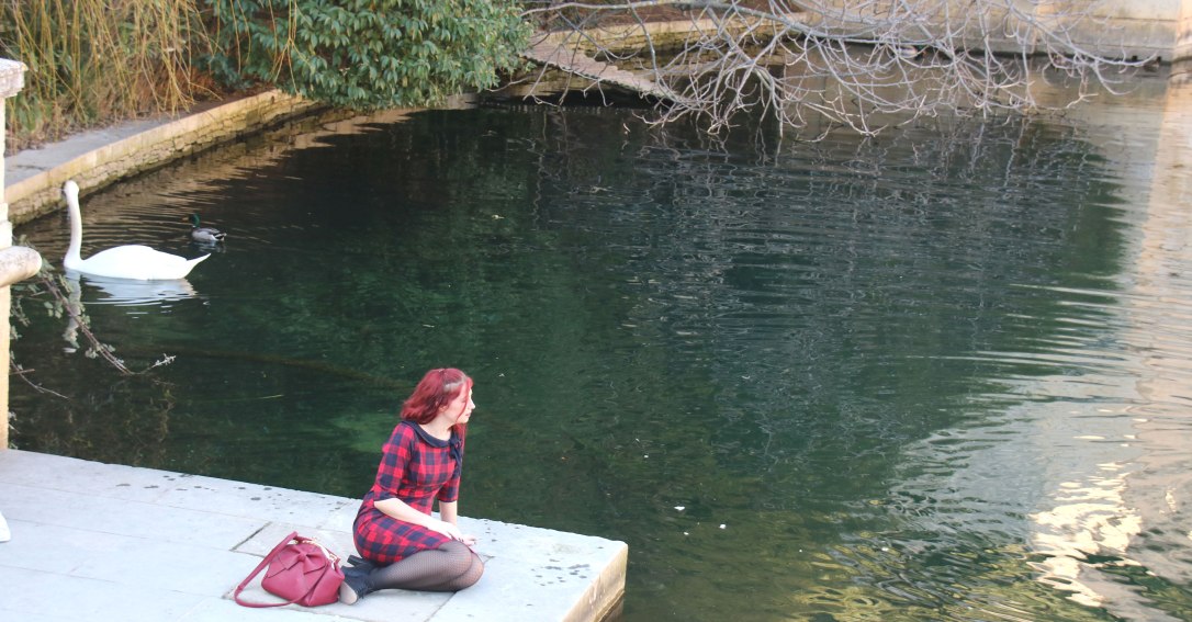 Etang-cygne-dancing-days