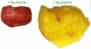 source image : http://motivation-fitness-beaute.com